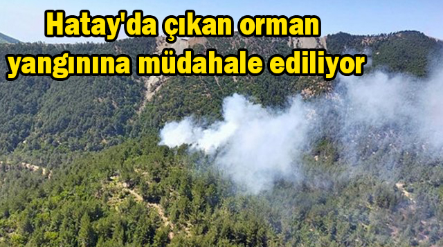 Hatay’da çıkan orman yangınına müdahale ediliyor