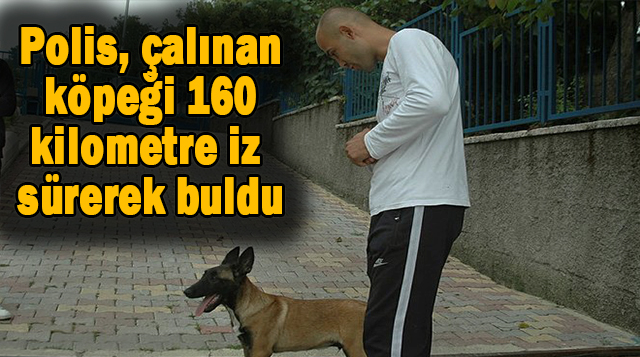 Polis, çalınan köpeği 160 kilometre iz sürerek buldu