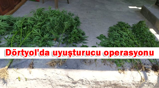 Dörtyol’da uyuşturucu operasyonu