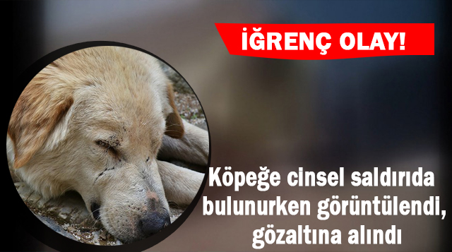 Köpeğe cinsel saldırıda bulunurken görüntülendi, gözaltına alındı