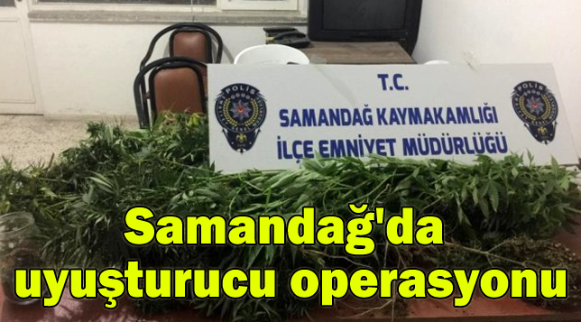 Samandağ’da uyuşturucu operasyonu