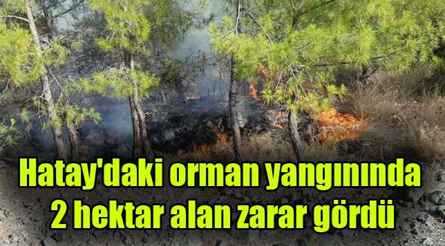 Hatay’daki orman yangınında 2 hektar alan zarar gördü