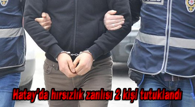 Hatay’da hırsızlık zanlısı 2 kişi tutuklandı