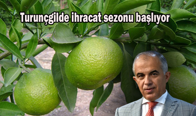 Turunçgilde ihracat sezonu başlıyor