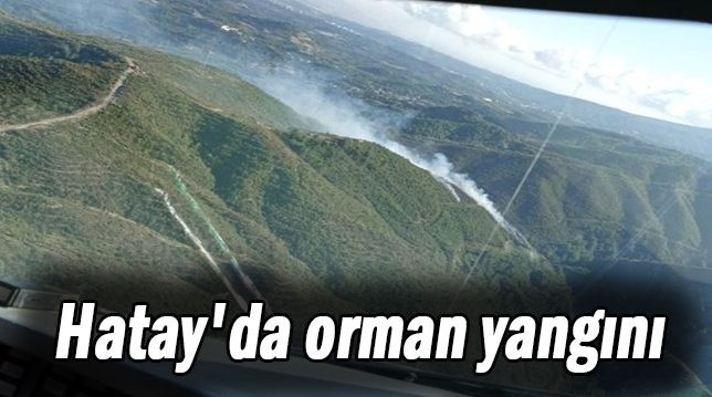 Hatay’da orman yangını