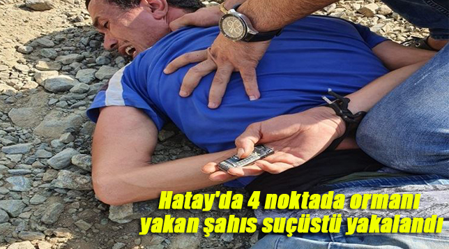 Hatay’da 4 noktada ormanı yakan şahıs suçüstü yakalandı