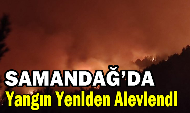 Samandağ’da yangın yeniden alevlendi