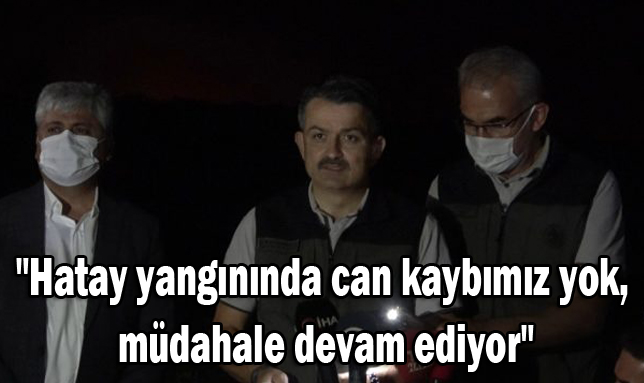 “Hatay yangınında can kaybımız yok, müdahale devam ediyor”