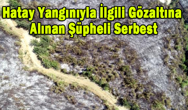 Hatay yangınıyla ilgili gözaltına alınan şüpheli serbest