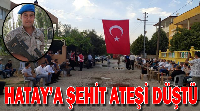 Hatay’a şehit ateşi düştü