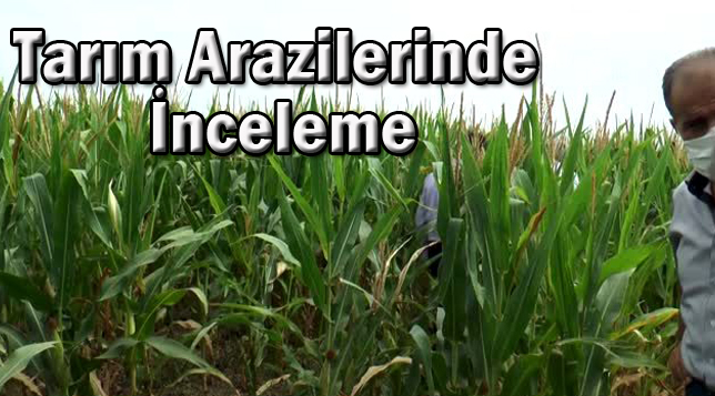 Tarım arazilerinde inceleme