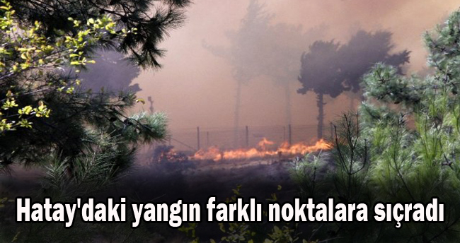 Hatay’daki yangın farklı noktalara sıçradı